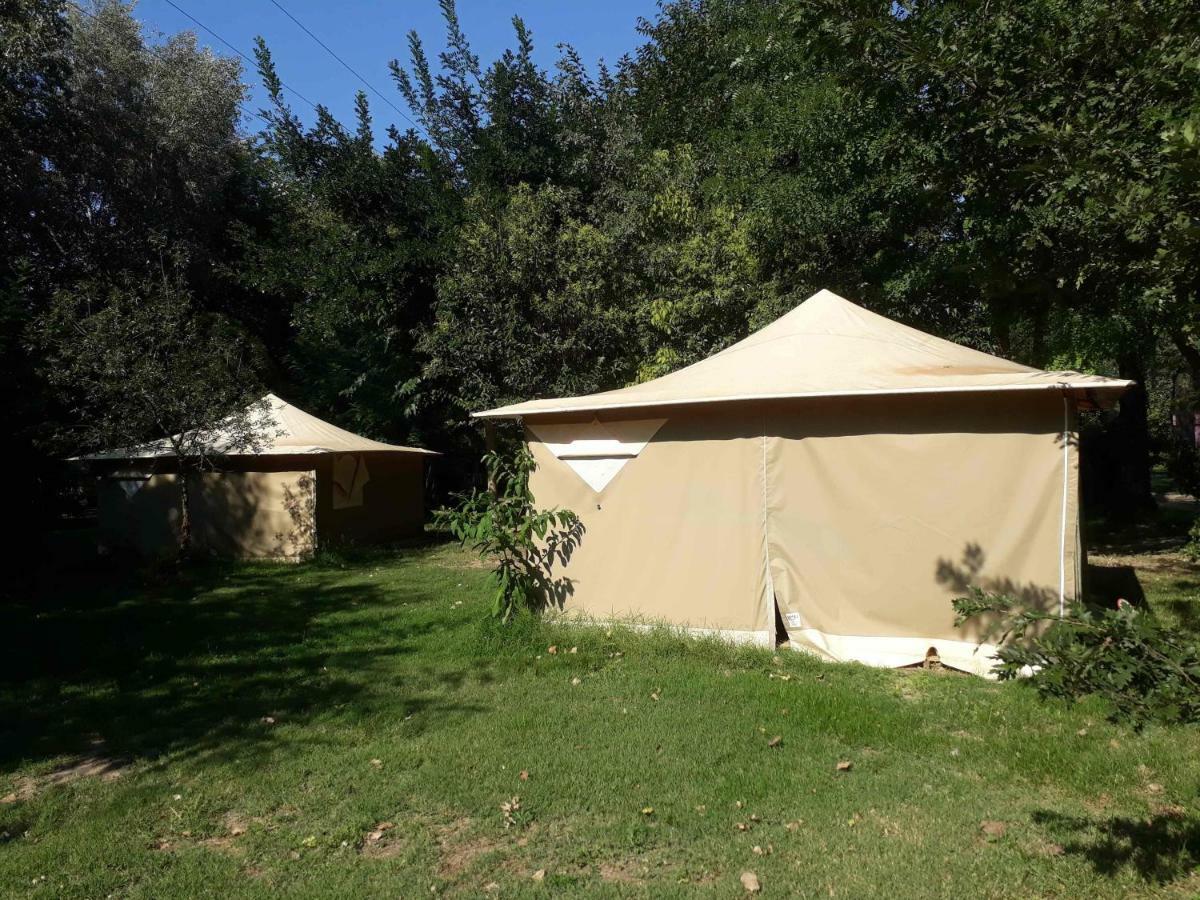 Camping Paradis Bellerive Montfrin Exterior photo